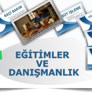 Danışmanlık ve eğitim bir arada
