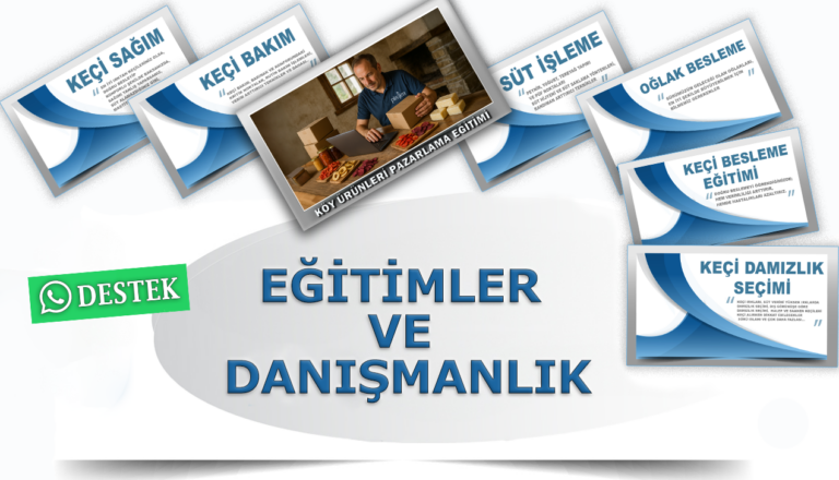 Danışmanlık ve eğitim bir arada